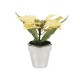 Planta Artificial Amaryllis Gold 14.61 cm